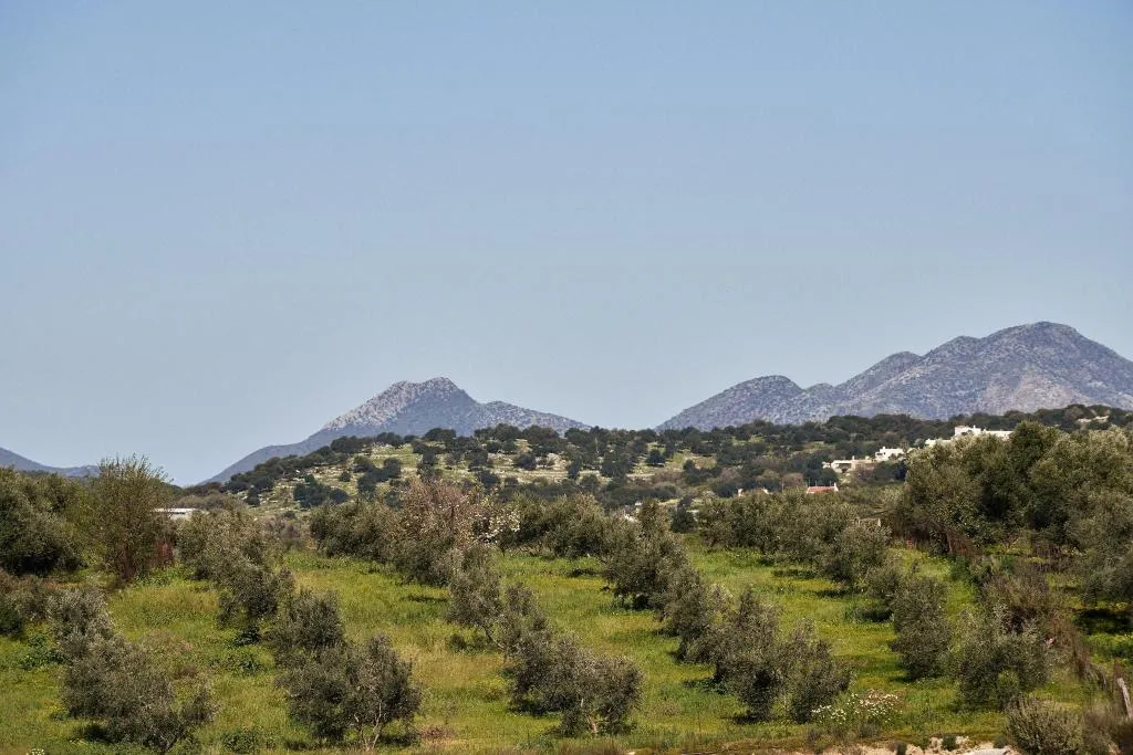 General view, Kapsaliana Village Hotel, Crete