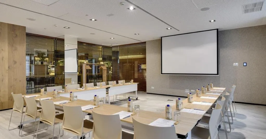 Conferences, Melia Madrid Serrano, Madrid