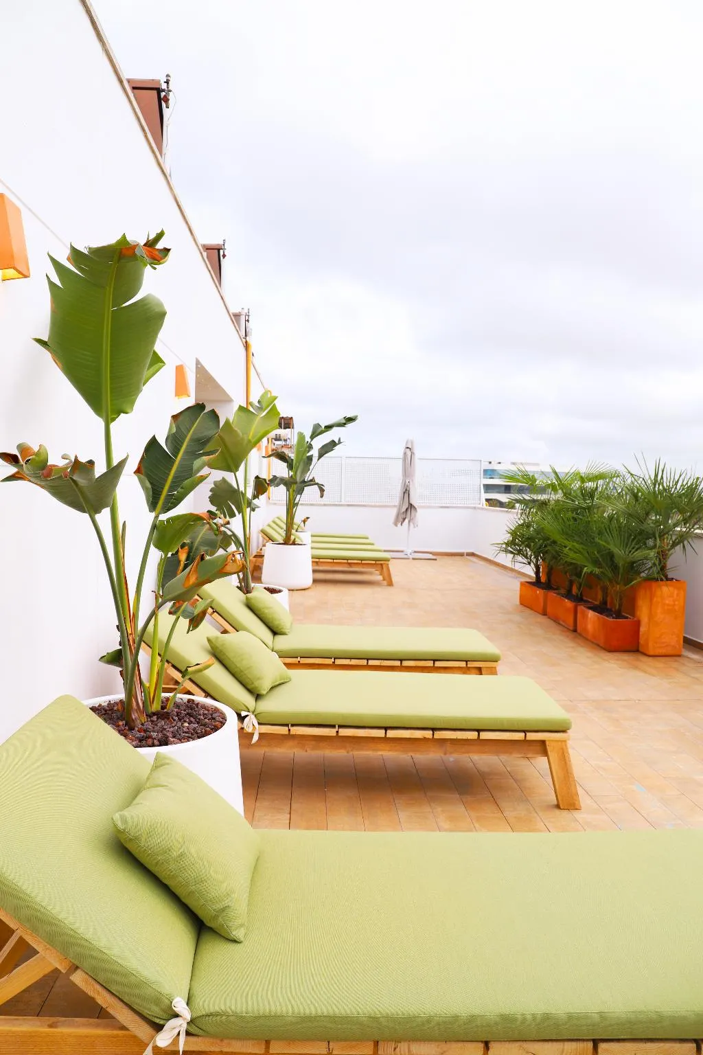 Terrace, Hotel Boutique Balandret, Valencia