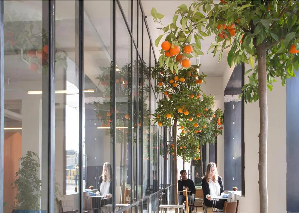 Terrace, Bed and Boarding - Hostel, Naples
