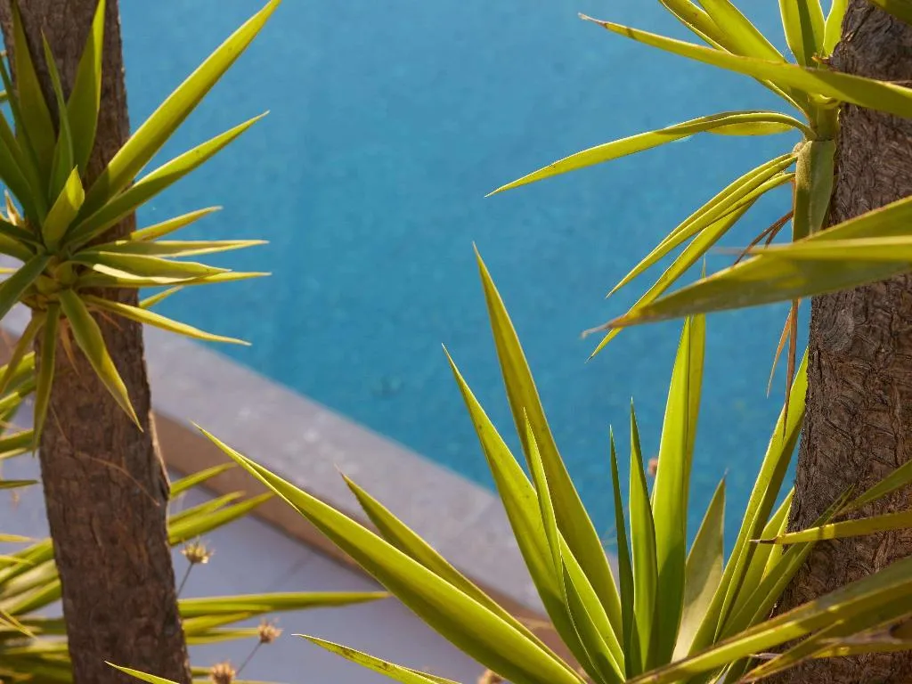 Pool, The Roc Club, A Hotel to Live, Athens