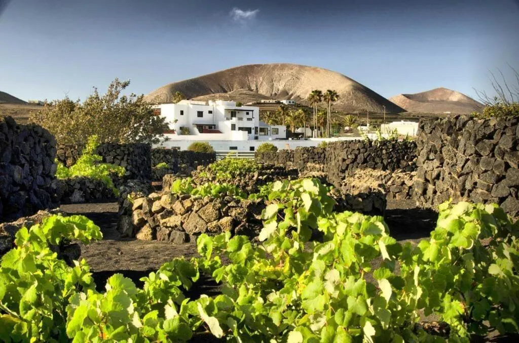General view, Finca La Florida, Lanzarote