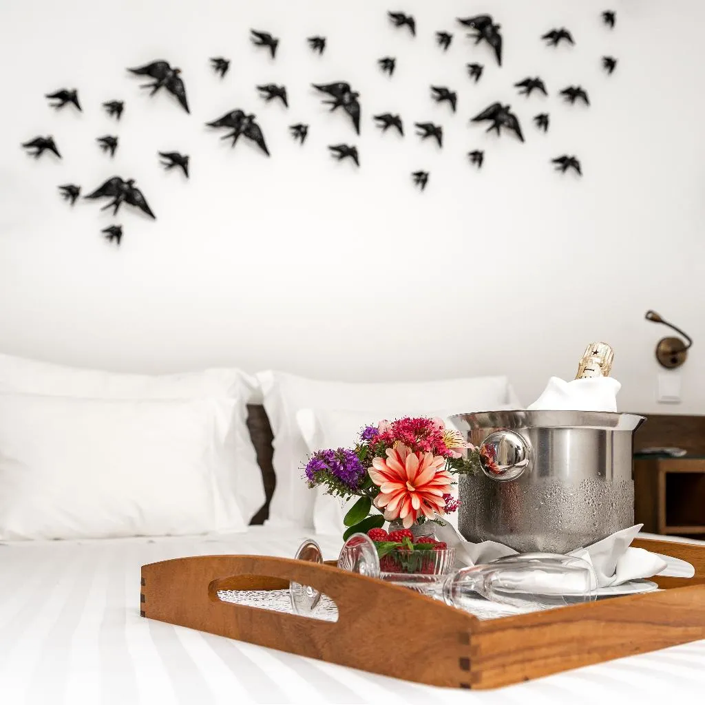 DOUBLE STANDARD Room, Rinoterra Minho, Porto