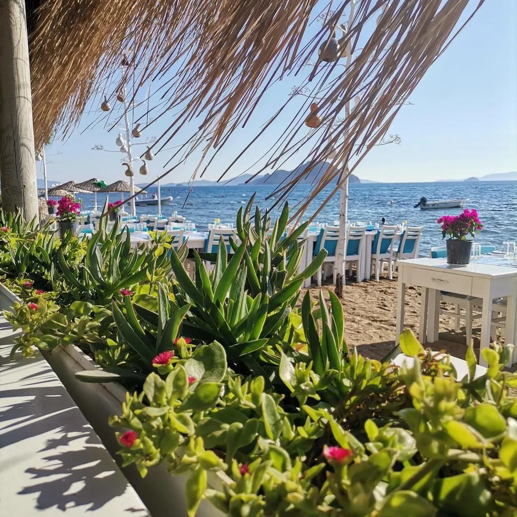 Restaurant, Pitos Bungalows, Bodrum
