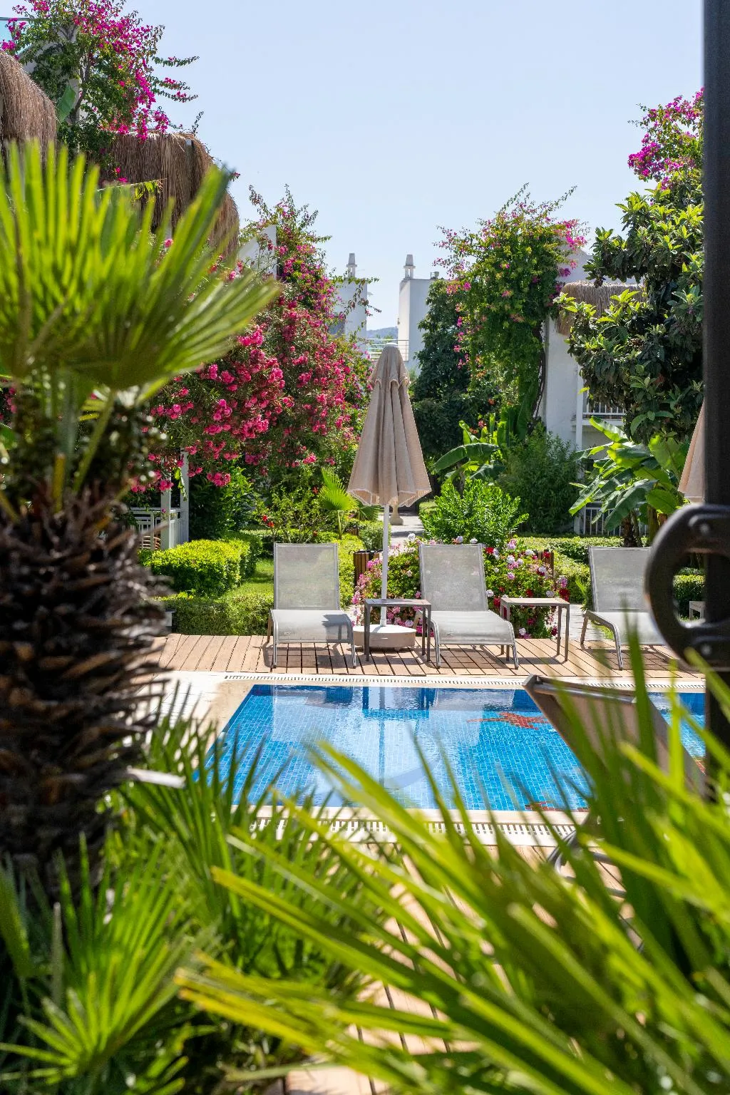 Pool, Yalipark Beach Hotel, Bodrum