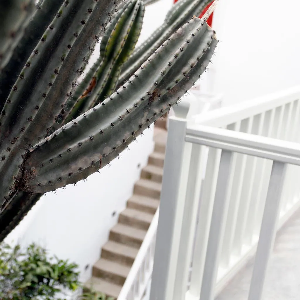 Terrace, Fresh Boutique hotel, Mykonos