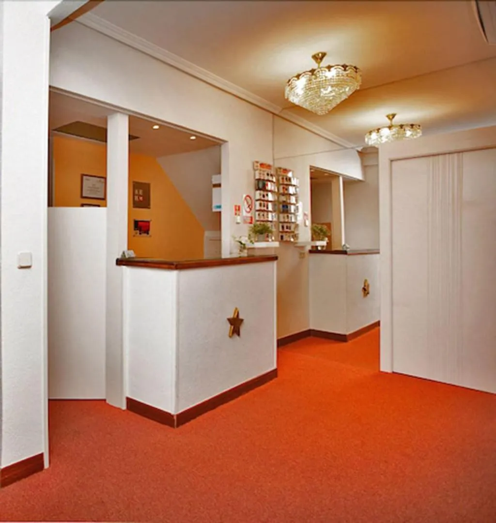 Lobby, Hostal Los Alpes, Madrid