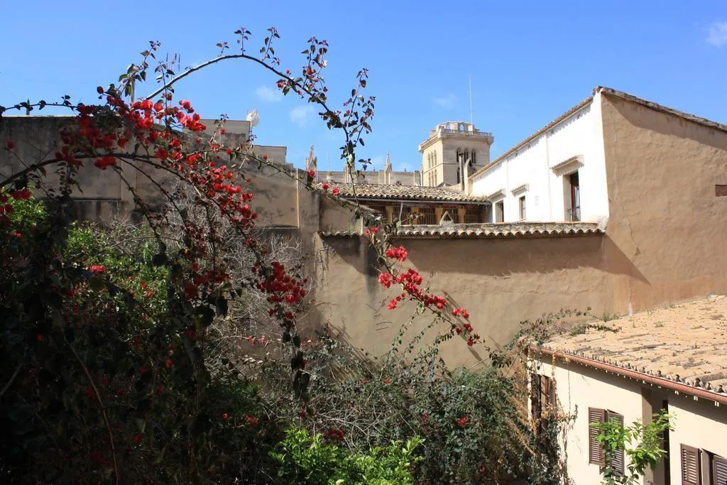 General view, Turismo de Interior Dalt Murada, Majorca