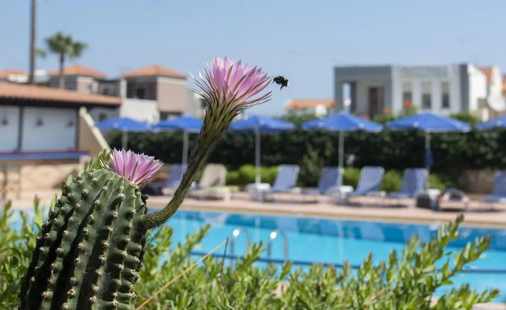 General view, Niriides Hotel, Crete