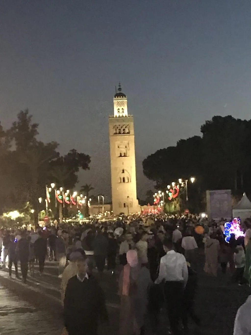 General view, Dar Chadia, Marrakech