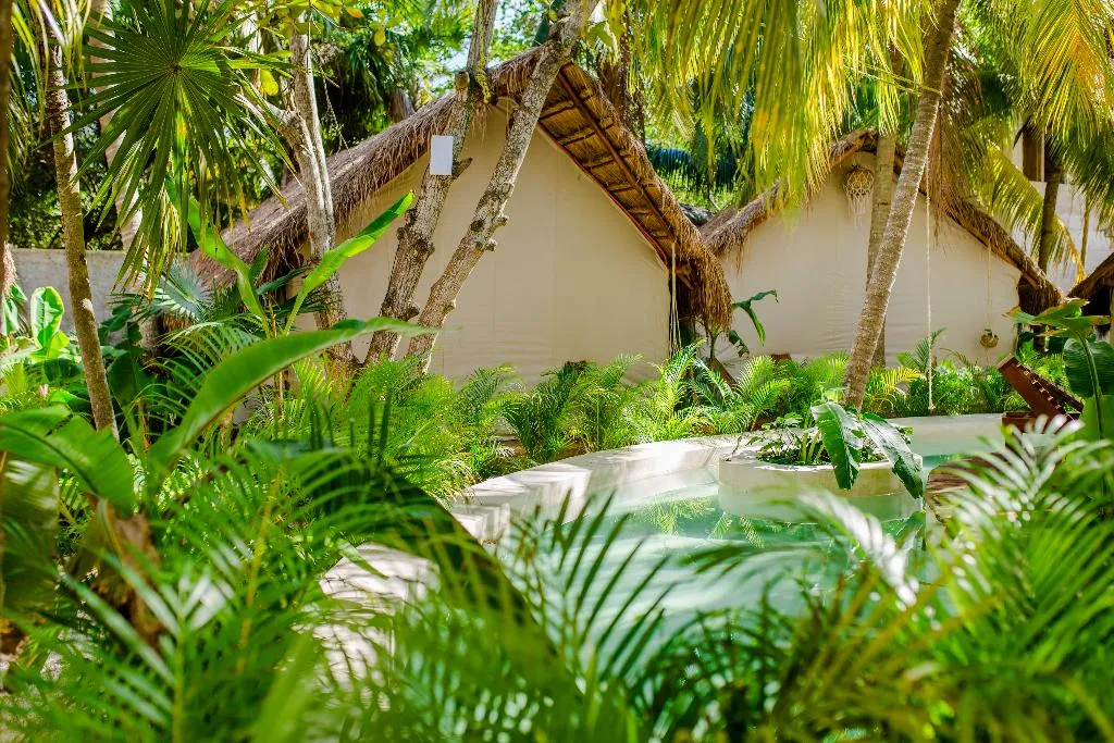 Pool, Serena Glamping Tulum, Cancun Area