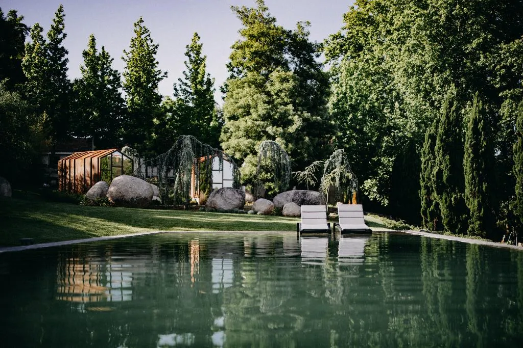 Pool, Vinha Boutique Hotel, Porto