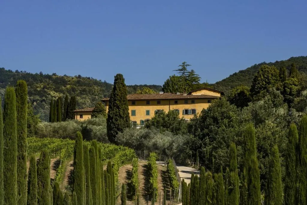 General view, Villa La Palagina, Florence