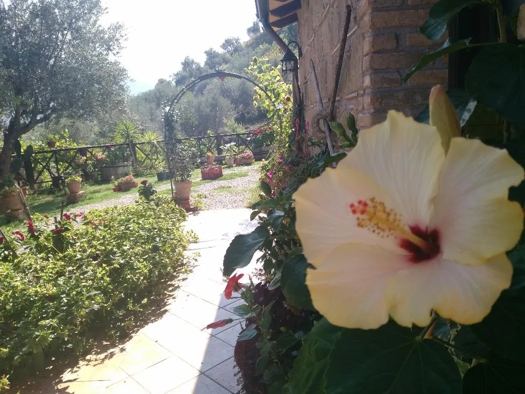Terrace, Agriturismo L'Uliveto, Palermo