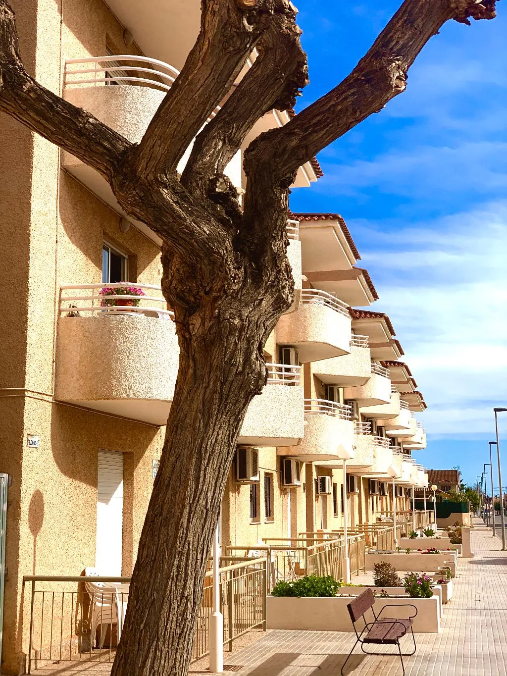 APARTMENT TWO BEDROOMS Room, Destino De Sol De Los Alcazares, Costa Blanca