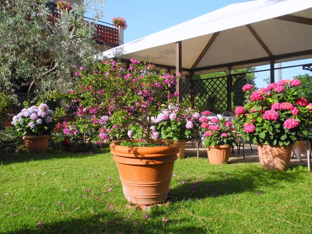 Terrace, Le Renaie, Florence
