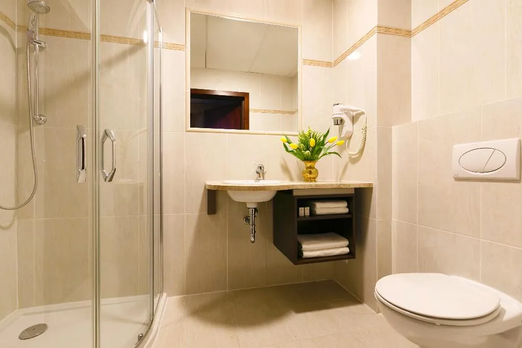 DOUBLE SINGLE USE STANDARD Room, Turowka Hotel&Spa, Krakow