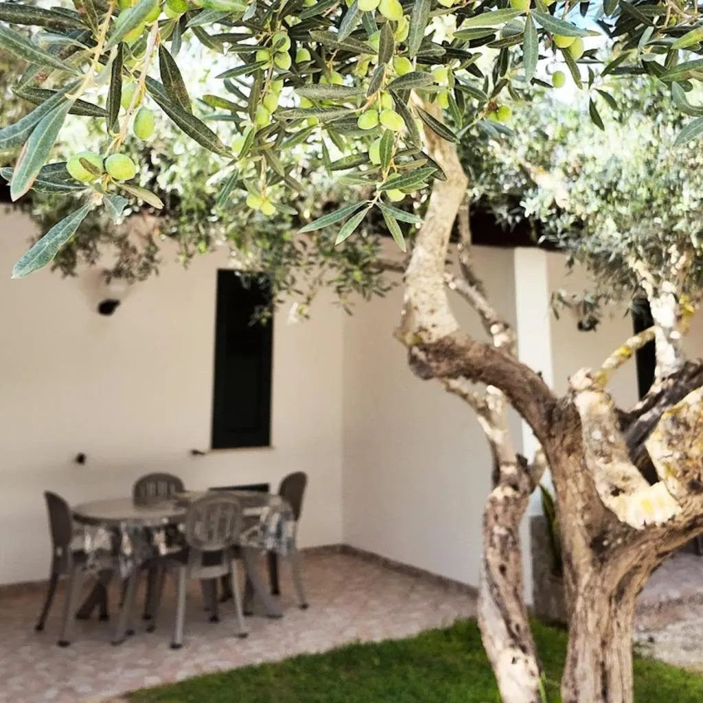General view, Lilybeo Village, Palermo