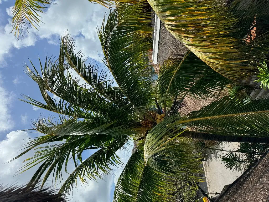 General view, Kin Ha Tulum Hotel, Cancun Area