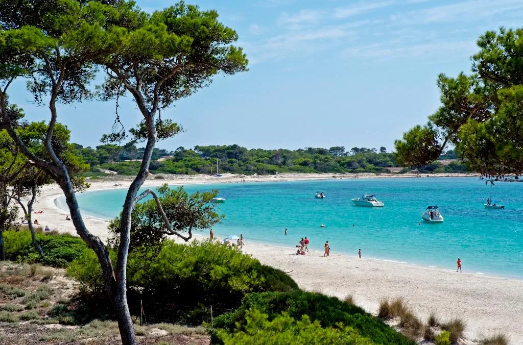 Beach, Aparthotel Isla de Cabrera, Majorca