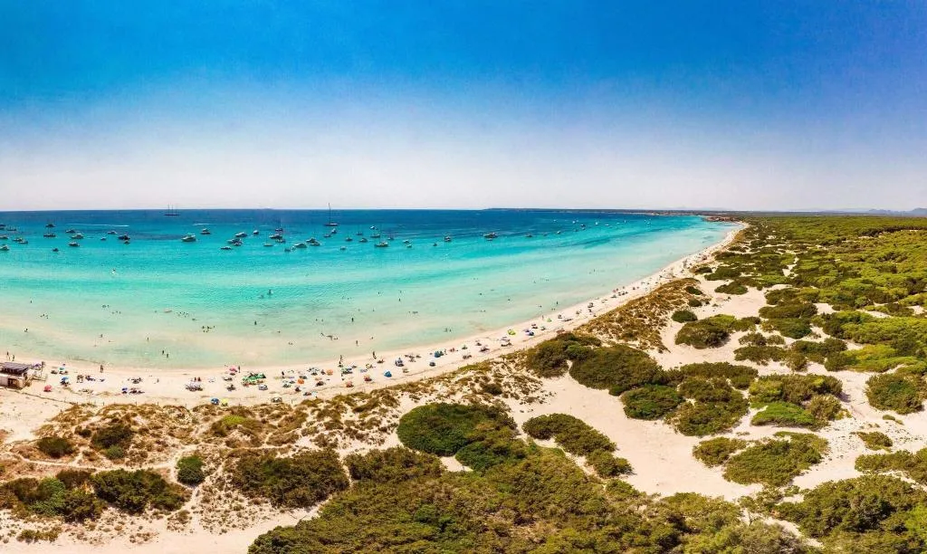 Beach, Blau Colonia Sant Jordi Resort, Majorca
