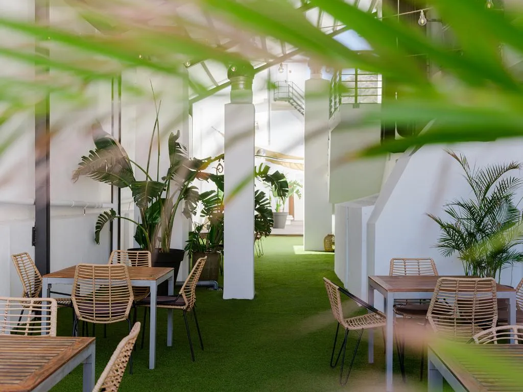 Terrace, Taburiente, Tenerife