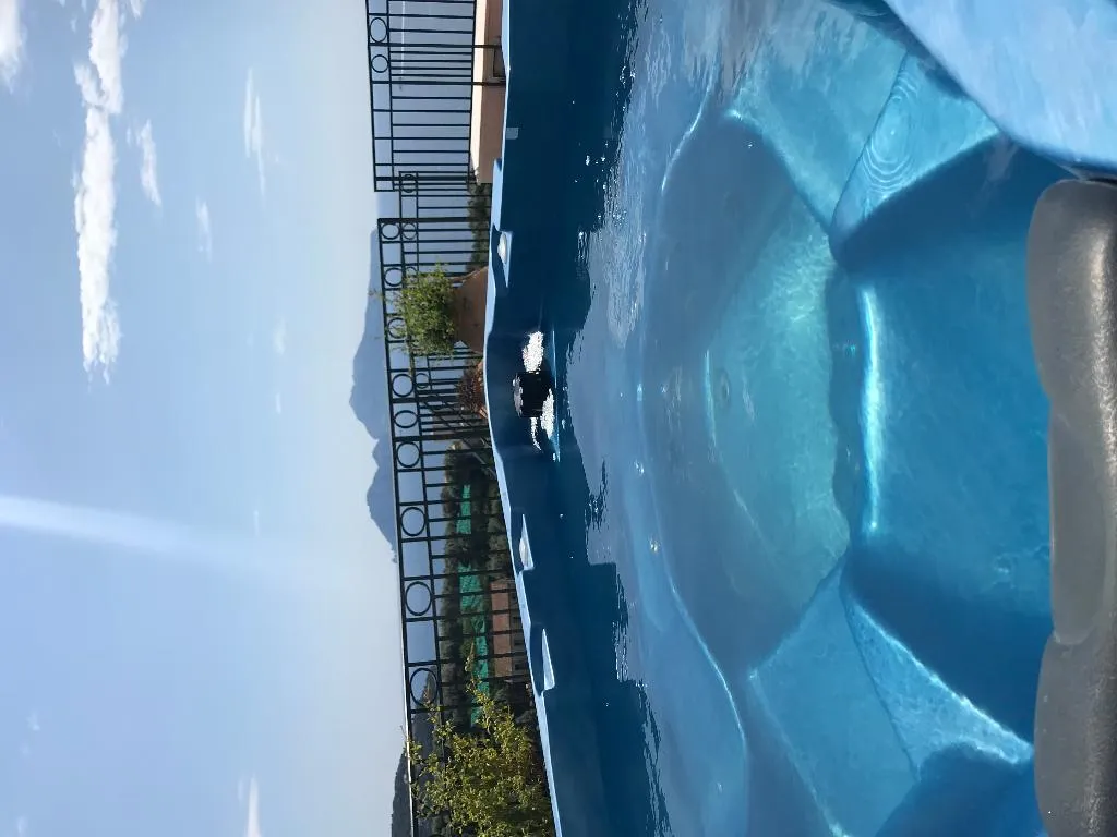 Pool, Villa Pina Antico Francischiello, Naples