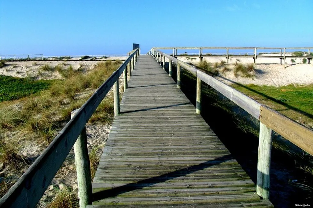Beach, Moliceiro, Porto