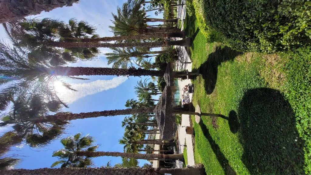 Pool, Hotel Alicante Golf, Costa Blanca