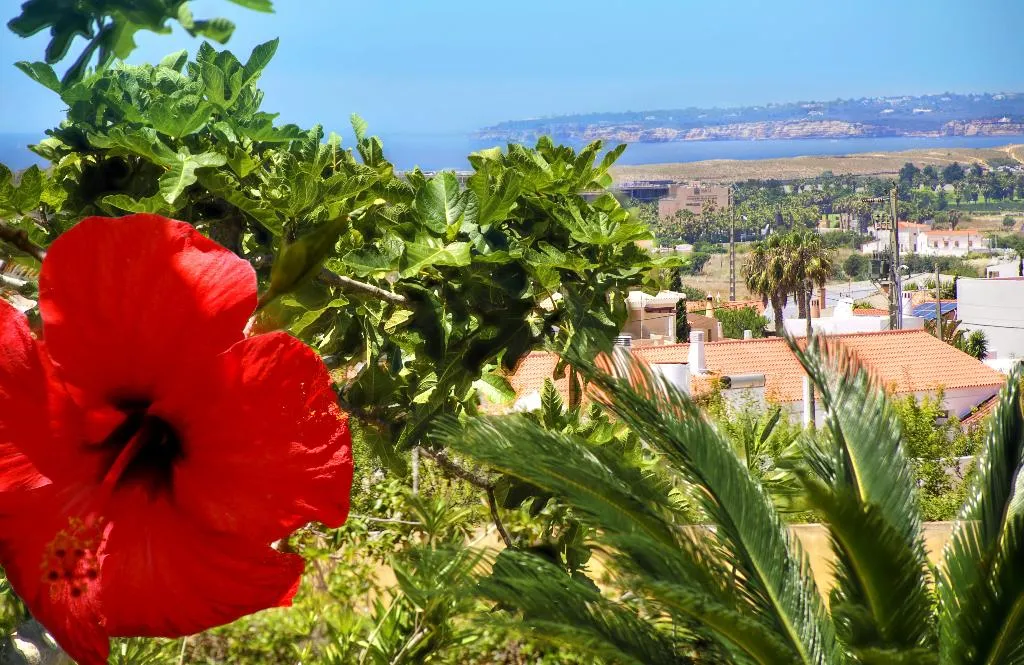 VILLA THREE BEDROOMS Room, Parque Monte Verde, Algarve