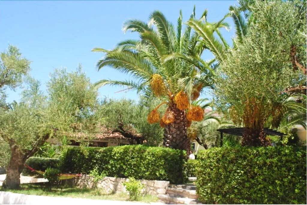 General view, Lofos Strani, Zante