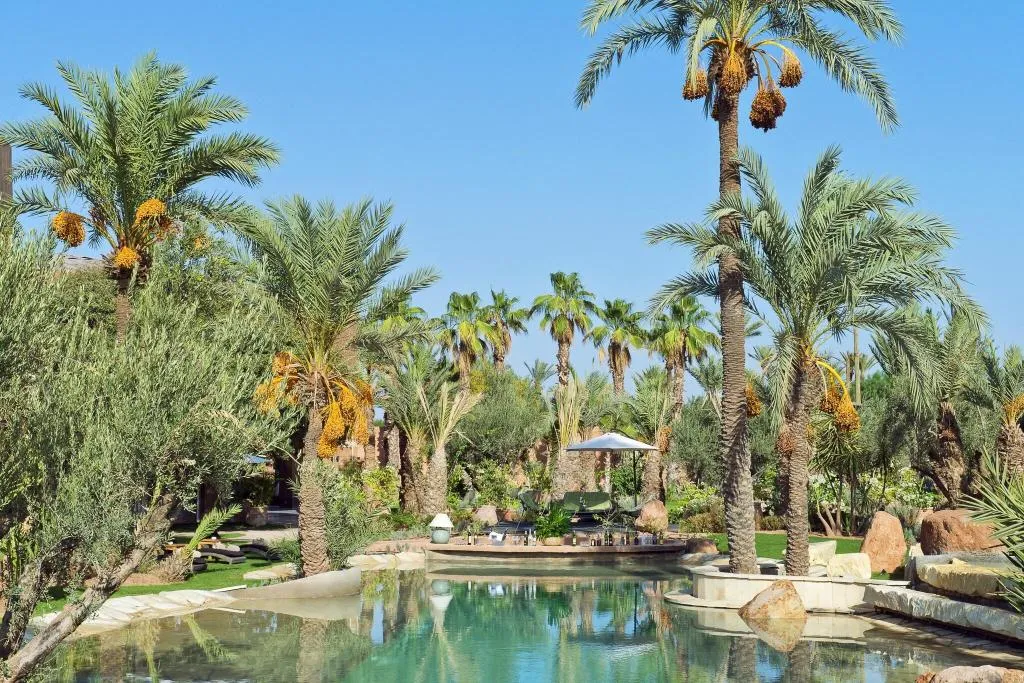 Pool, Tigmiza Suites & Pavillons, Marrakech