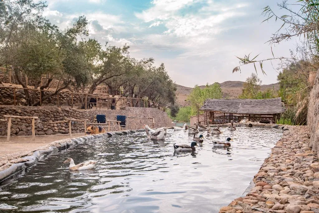 General view, La Fattoria Ecolodge, Marrakech