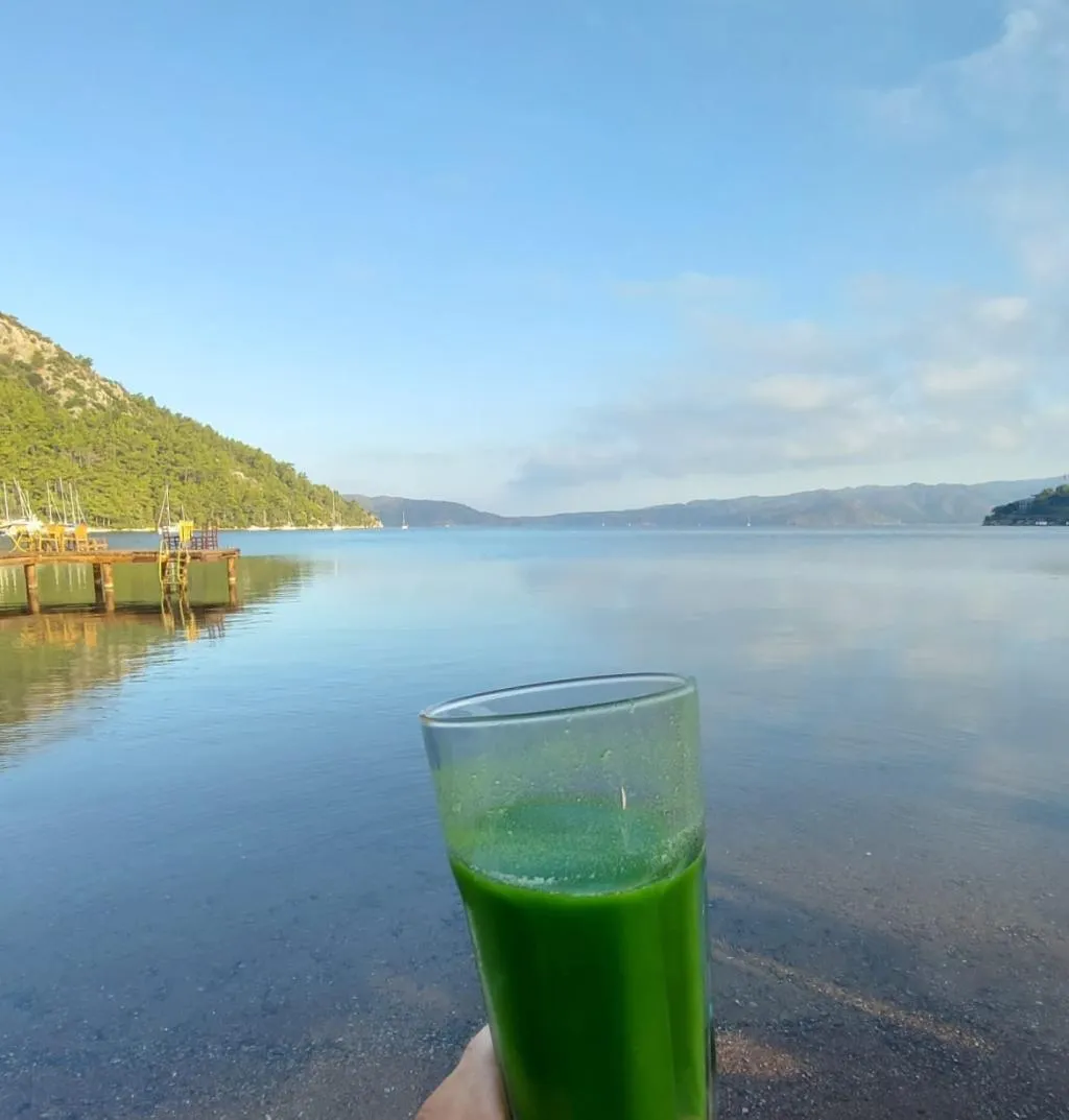 Bar, Zoe Glamping, Dalaman