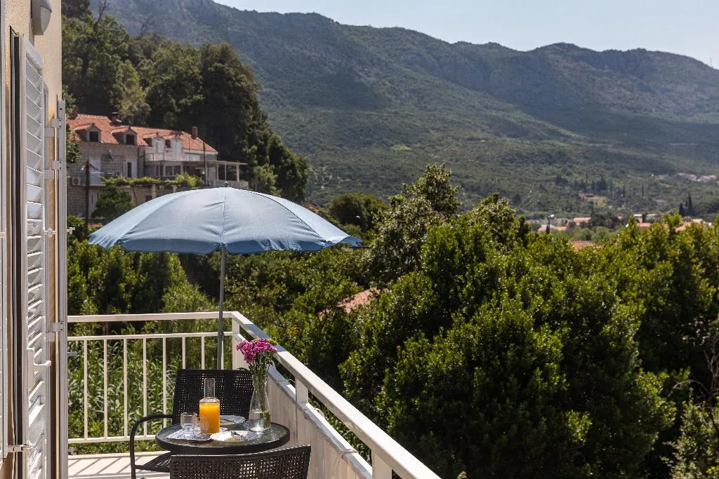 STUDIO STANDARD Room, Apartments Silvija, Dubrovnik