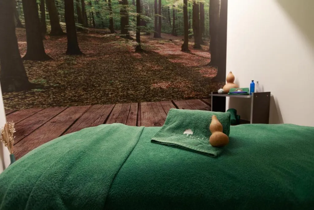 Sports and Entertainment, Olive Nature Hotel & SPA - Quinta Valle de Passos, Porto
