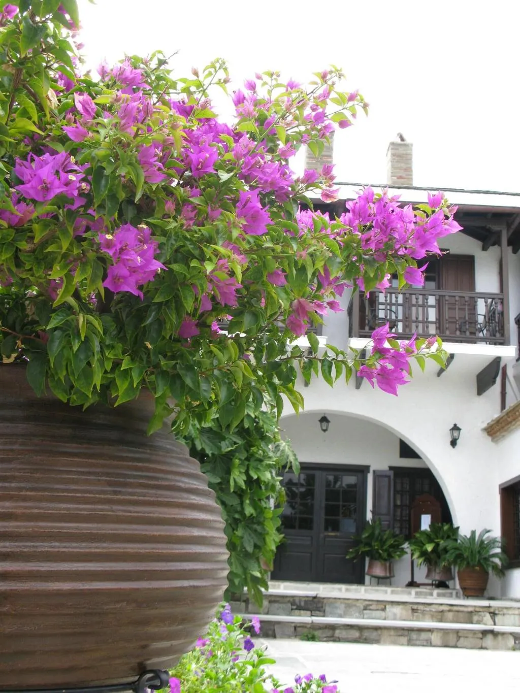 General view, Prince Stafylos, Skiathos
