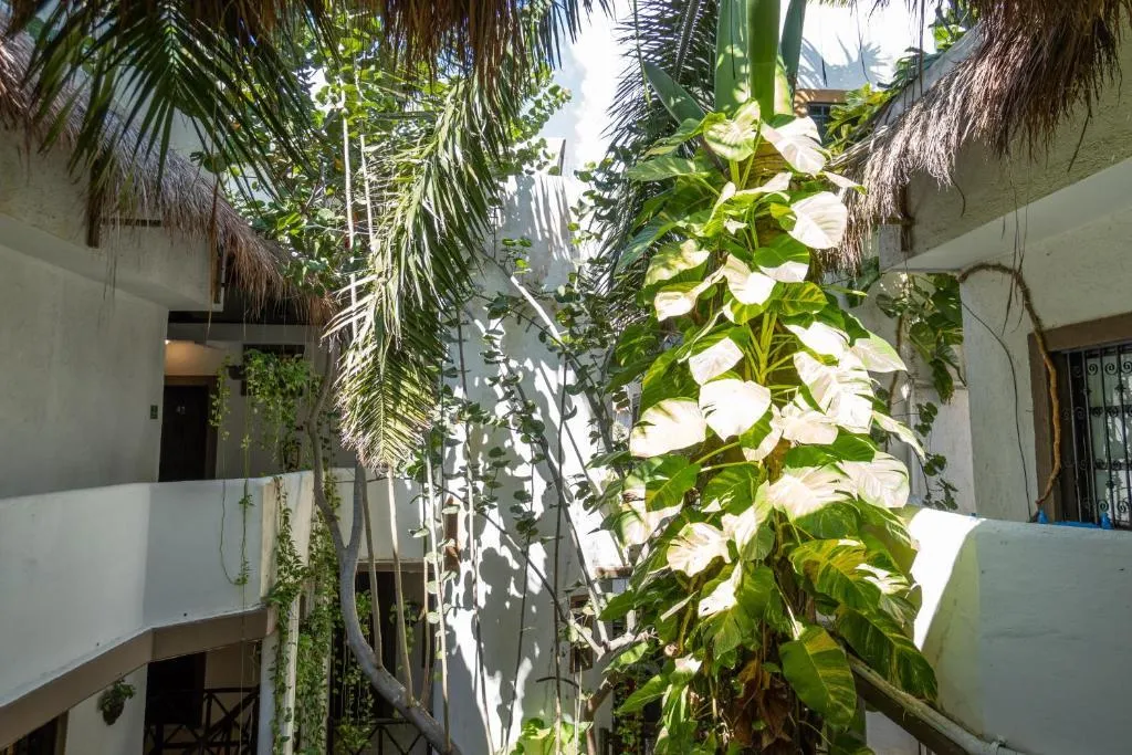 General view, Posada Mariposa Boutique Hotel, Playa Del Carmen