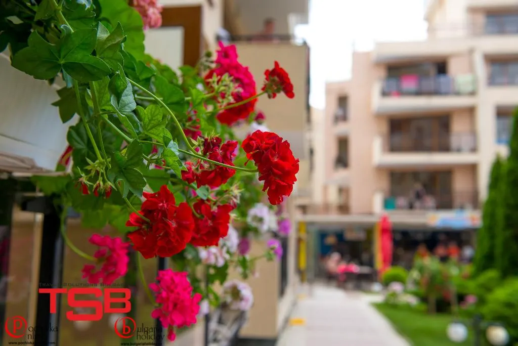 General view, TSB Sunny Victory Apartments, Bourgas