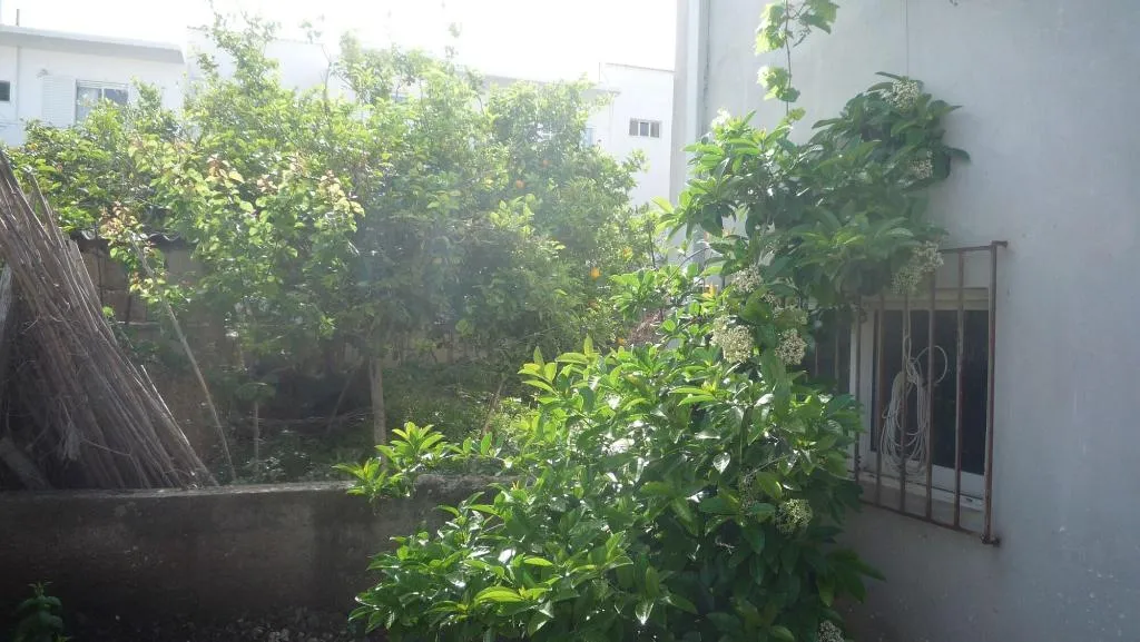 General view, Hostel Stylianos Kissamos, Crete
