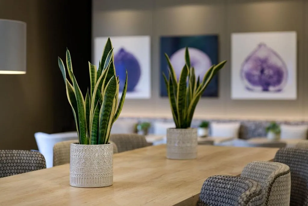 Lobby, AC Ciutat de Palma, Majorca