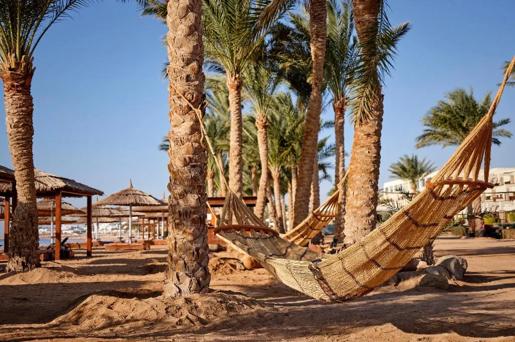 Beach, Coral Sea Sensatori, Red Sea Riviera