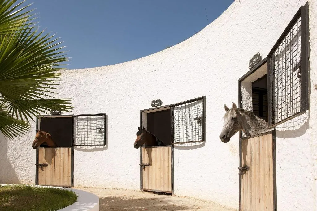 Sports and Entertainment, Sentido Phenicia, Tunisia