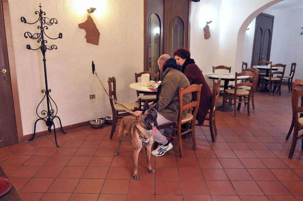 Room, Hotel San Marco, Umbria