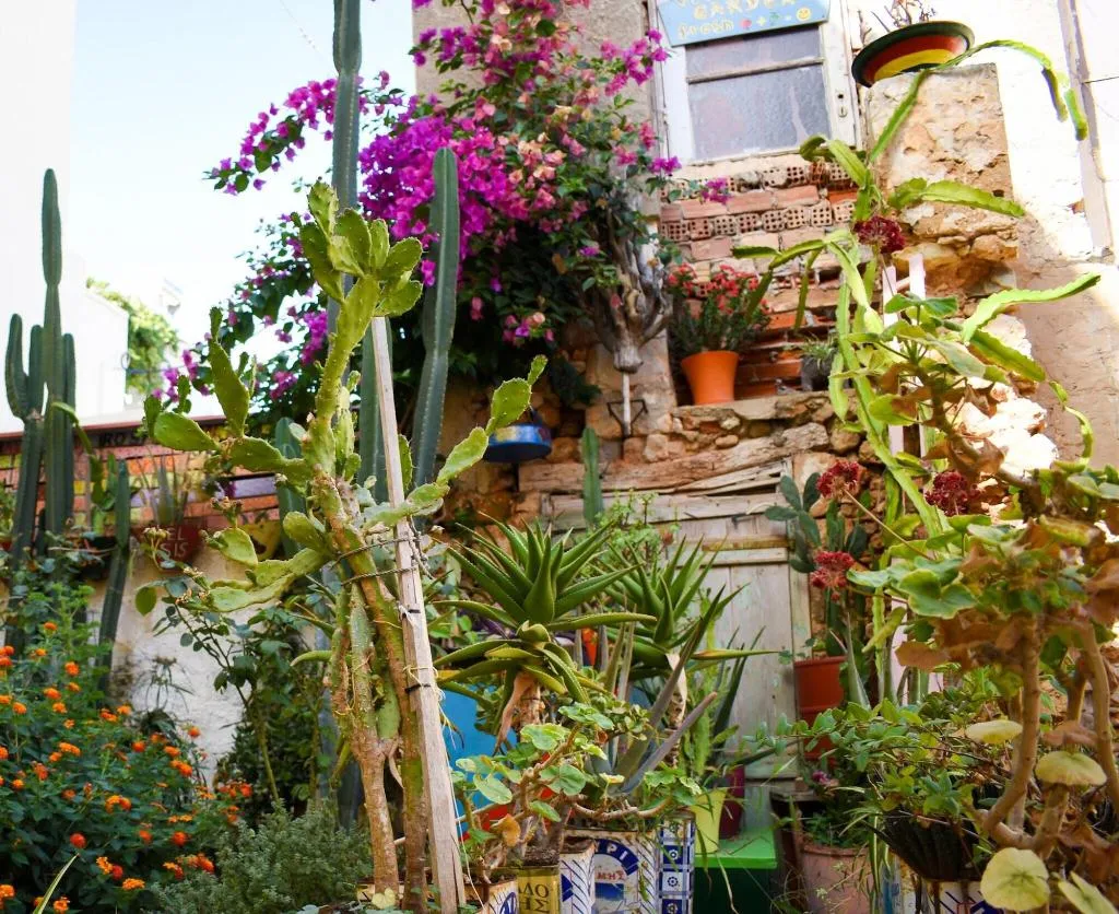 Lobby, Poco Loco Bed & Breakfast, Crete