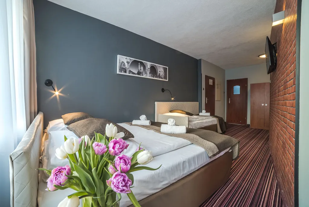 Room, Delta, Krakow