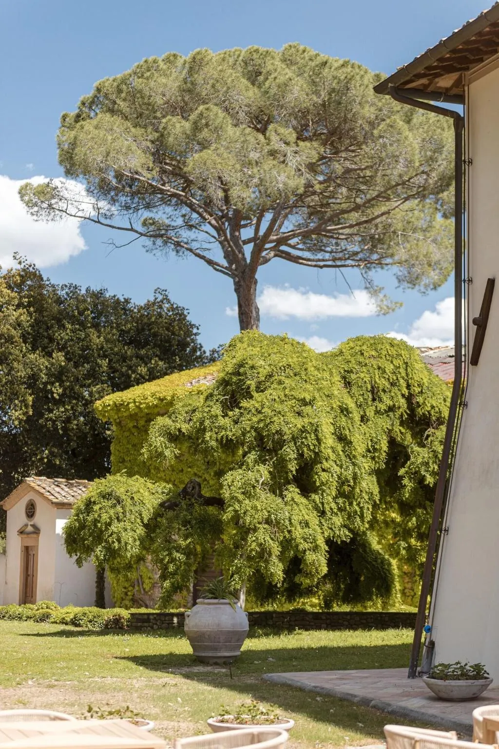 General view, Tenuta di Sticciano, Florence