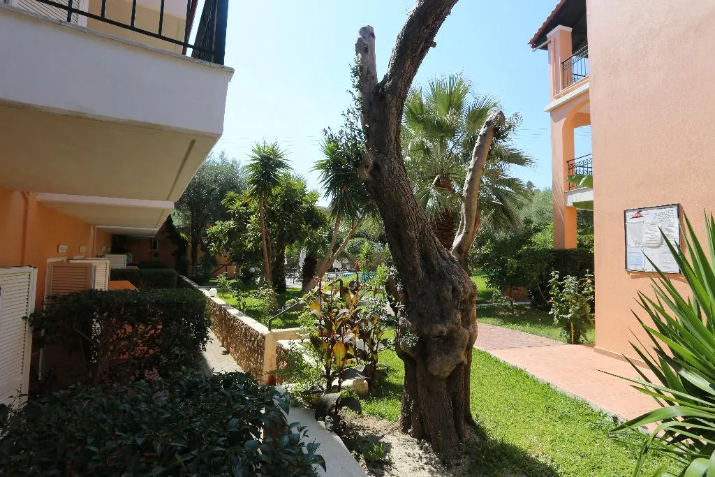 General view, Aloni, Halkidiki