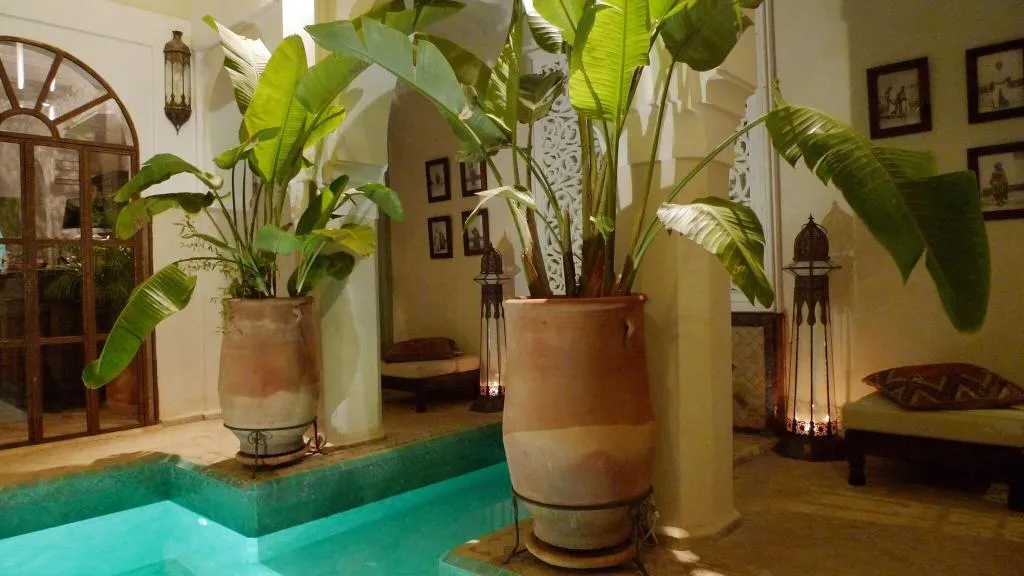 Pool, Riad Palacio De Las Especias, Marrakech