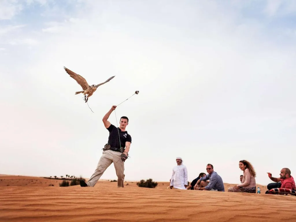 Sports and Entertainment, Adagio Premium Dubai Al Barsha, Dubai